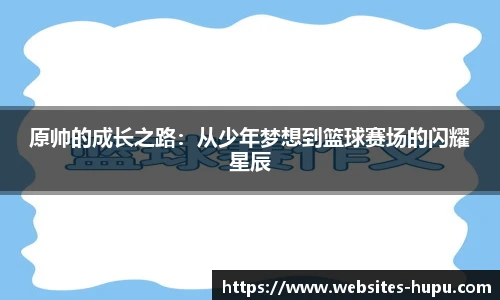 虎扑体育nba